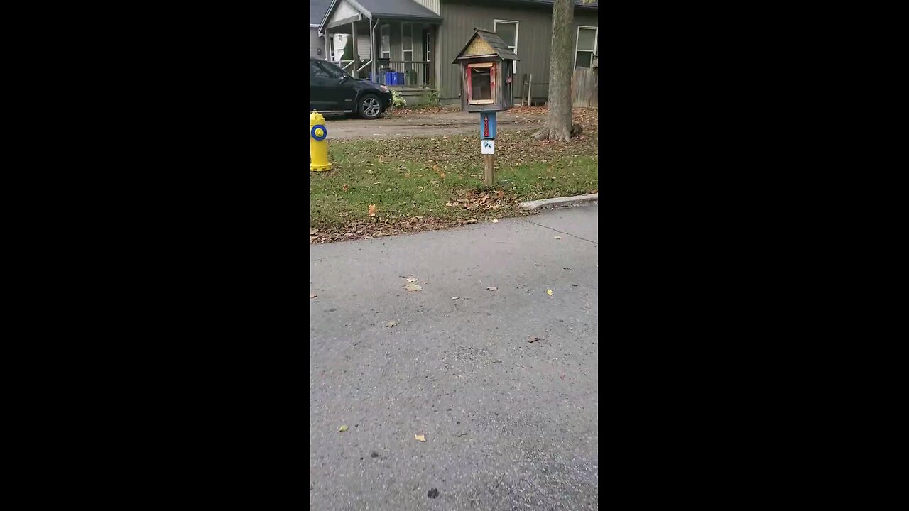 A Red And Yellow Little Free Library