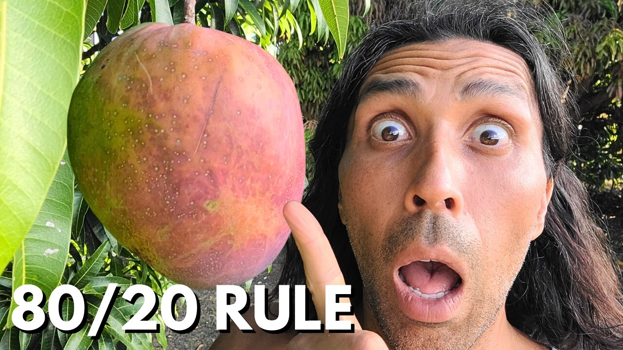 I Grew MASSIVE Mangoes After 15 Years of No Fruit... Here's How!
