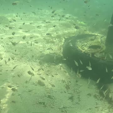 Any Day Snorkeling Is A Good Day!!