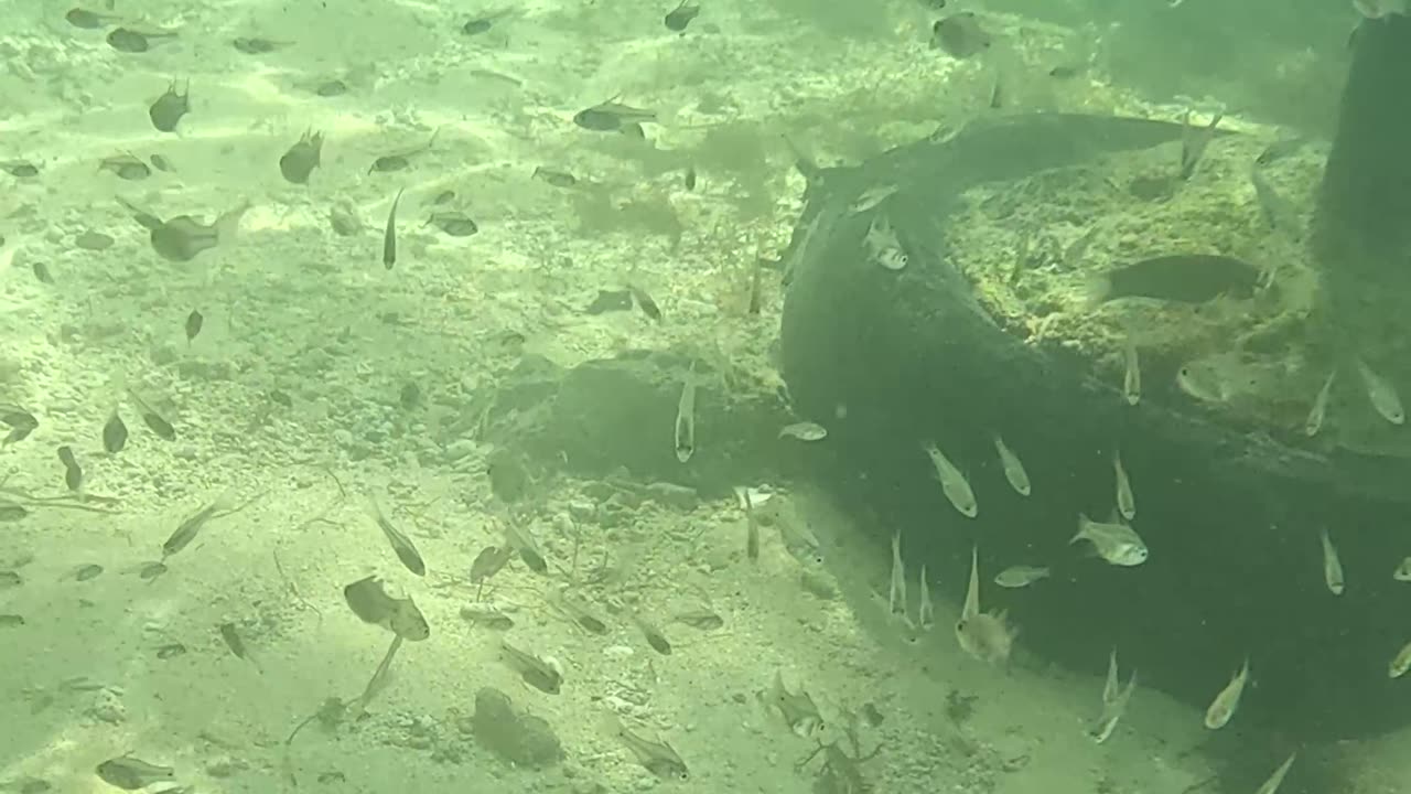 Any Day Snorkeling Is A Good Day!!