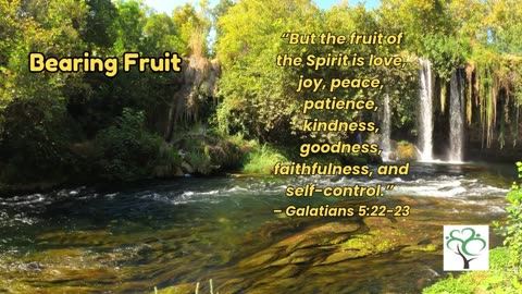 Feeling Lost? Find Hope and Clarity Through God’s Word Today - Bearing Fruit #DailyDevotion