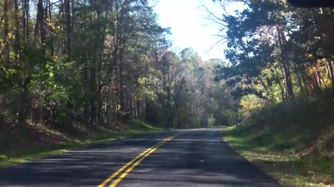 Would You Buy a Basic Car . . . If You Could?