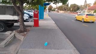 Blue hairnet stuck to pavement near blue bus stop and barbershop ad