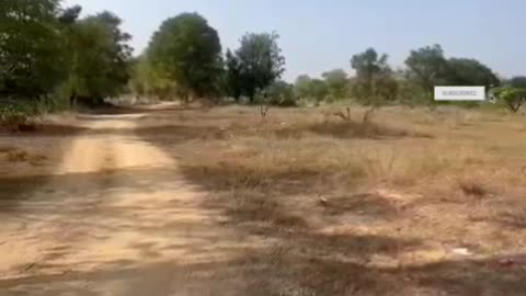Golden Investment Opportunity –26 Acres Near Gauribidnur | निवेश का सुनहरा अवसर –गौरीबिदनूर के पास |