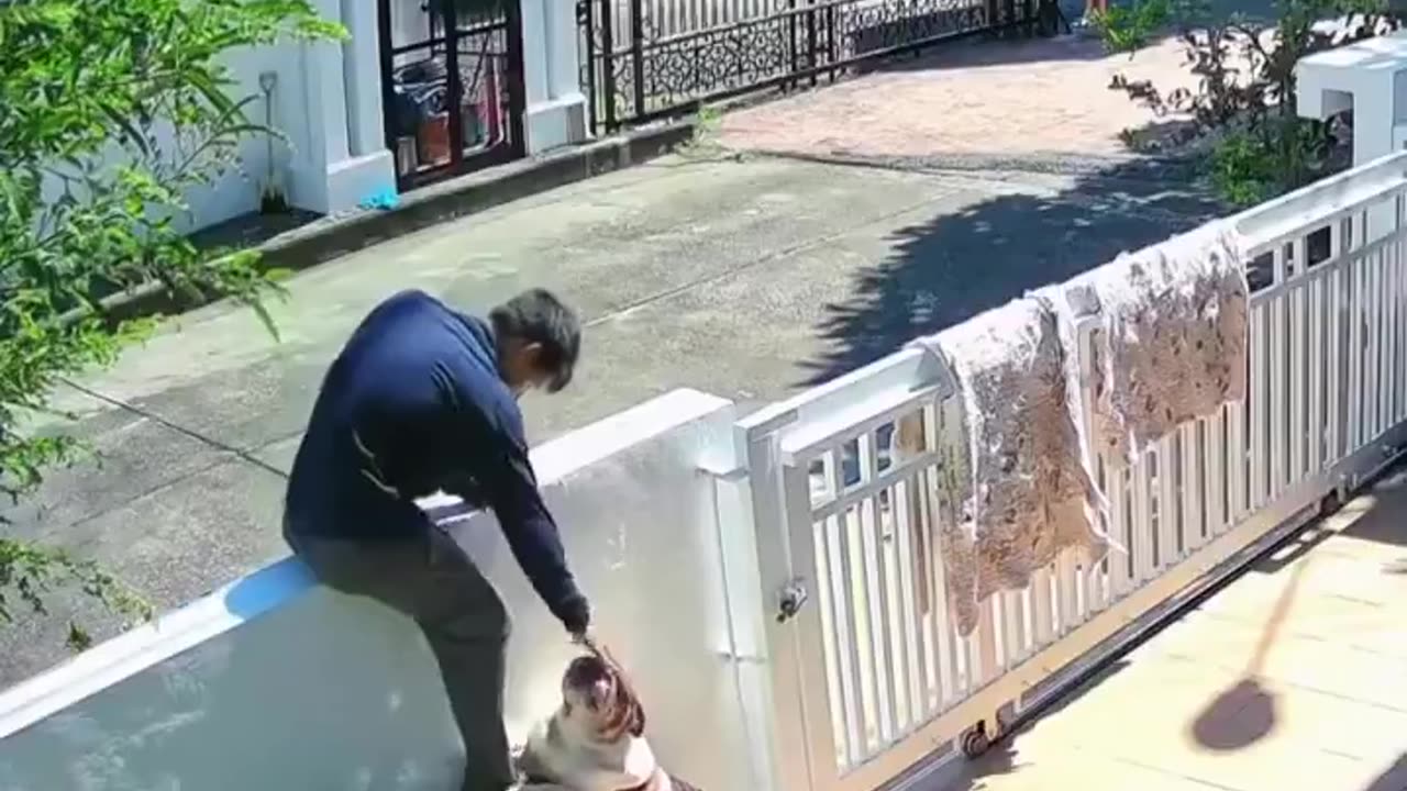 Isn't there a decent way to go out.🐶😂