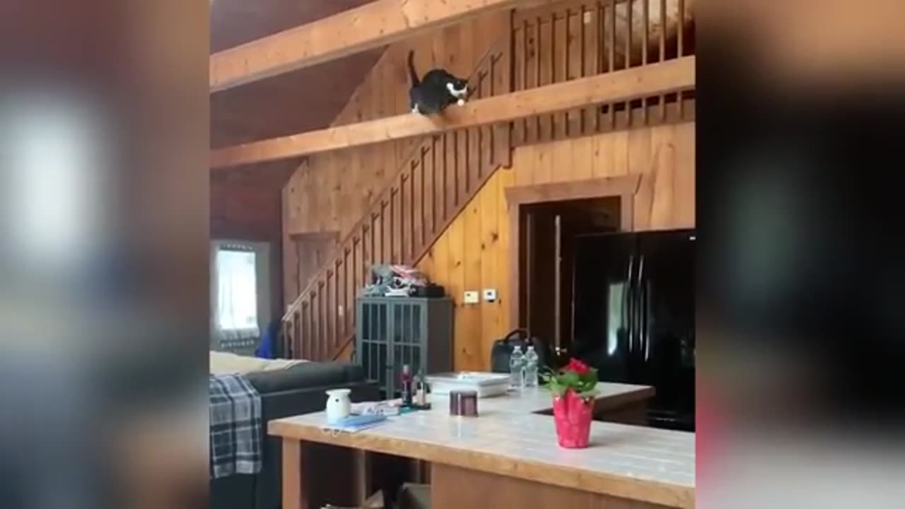 TRY NOT TO LAUGH 😆 Best Funny Videos Compilation 😂😁😆 Memes.