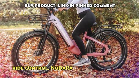 FREEDARE Eden Electric Bike 1000W Motor 48V 20Ah Battery 26 inch Fat Tire Electric Bike