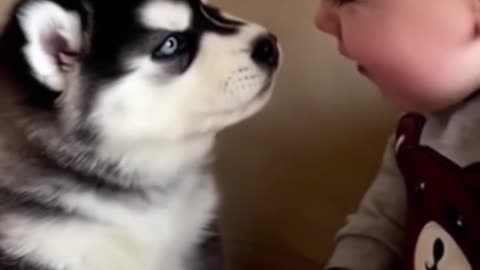 Are You Talking to Me?" Little Boy Tries to Talk to His New Sassy Puppy! 🐶👶