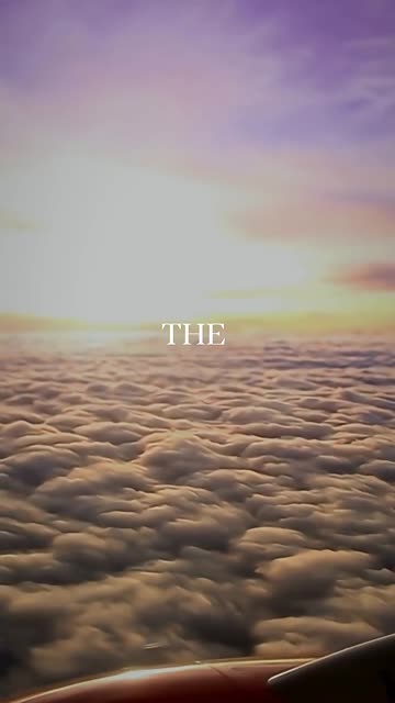 Trust in God… He never fails! 🕊️💛