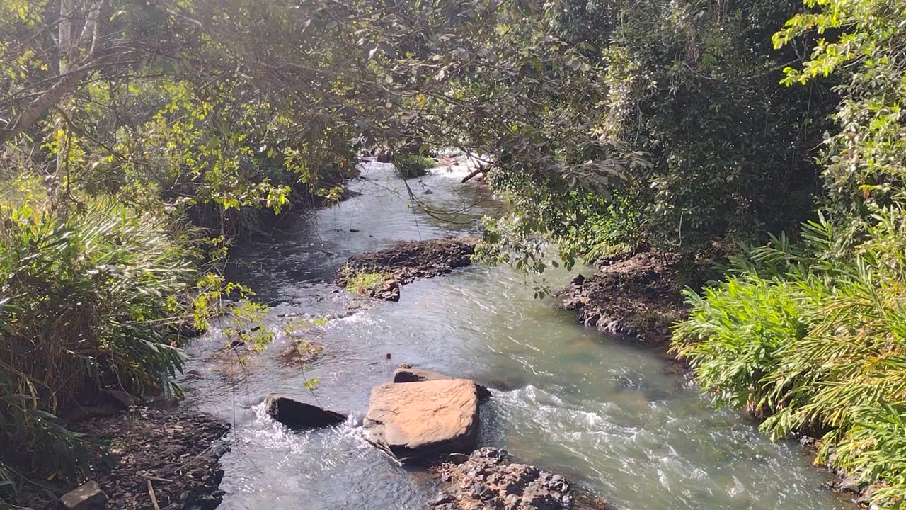 Ribeirão Ponte Alta