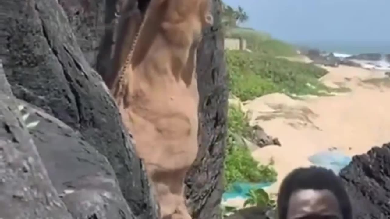 World ending December 25 — Ghanaian 'prophet' builds arks for Christmas flood