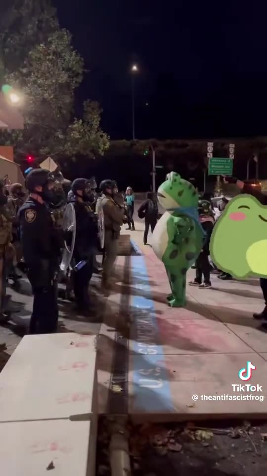 WTF 😂 TheAntifascistfrog: this is the war ravaged city that Trump is talking about. P1