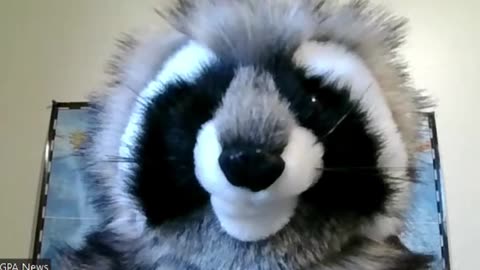 LA Chargers Desperate to Make Playoffs Brought in Phillip Rivers trying to Acquire Joe Flaco.