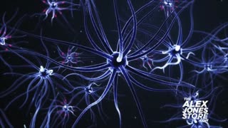 The Alex Jones Shows, LIVE !