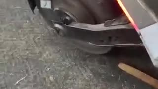 😂🐶 You Won't Believe What Happens Next! | FunFM