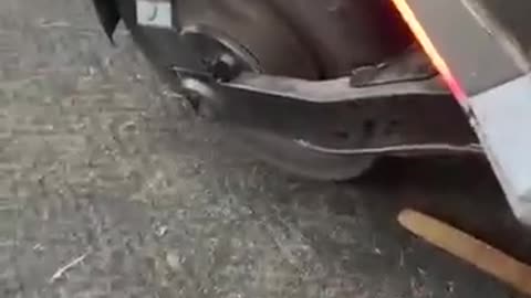 😂🐶 You Won't Believe What Happens Next! | FunFM