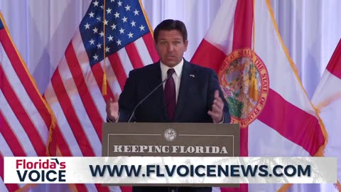 Florida Governor Ron DeSantis announces the creation of a DOGE Task Force in Florida.