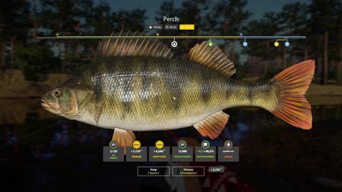 RF4 – Trophy Perch on a Winding Rivulet