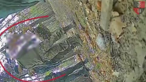 Curiosity Killed the Rus