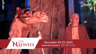 Pioneer Channel LIVE