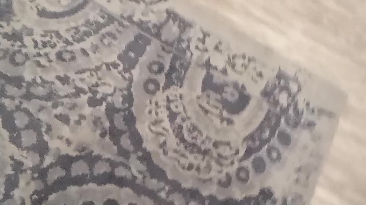 Stolen land? It's ALL stolen land, Rick & Jeff Wiener & Princess part 2 READ DESCRIPTION