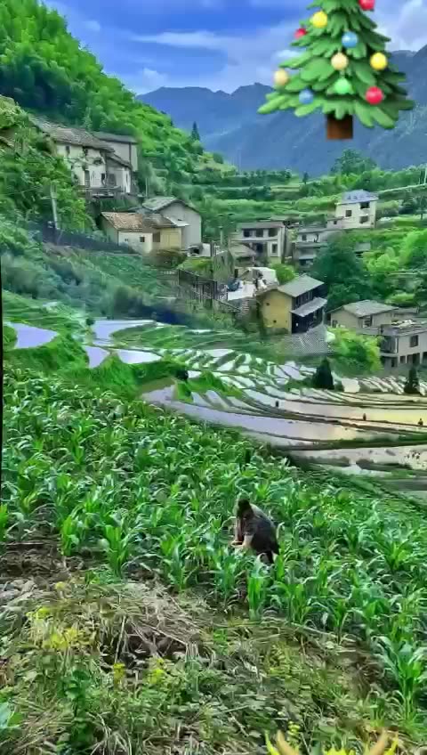 Healing Power of Nature: Refresh Your Mind ♥️♥️♥️