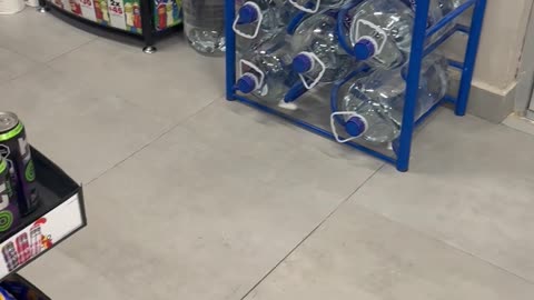 Cat With Oxxo’s Uniform