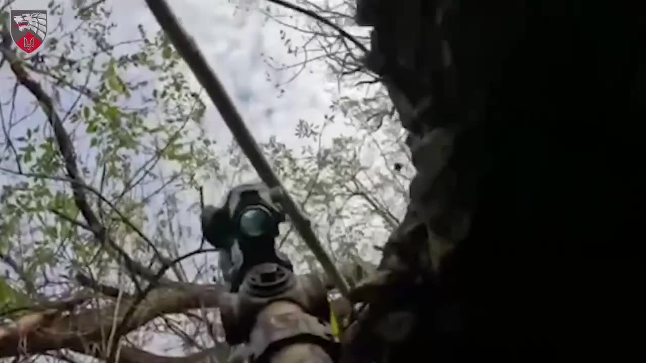 ❗️Special forces groups of the 3rd regiment of the Special Operations Forces are conducting