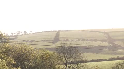 HOSTMASTERS - Return to Amenti Grid Activation Video part 3 2025