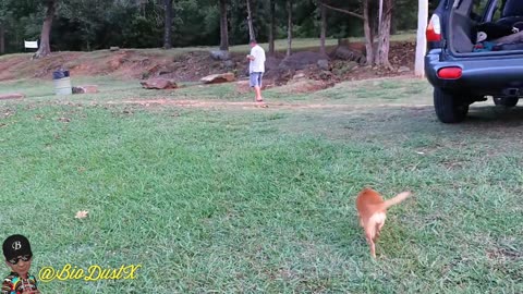 Okmulgee Lake with Maxine in Oklahoma - Muscogee Nation -