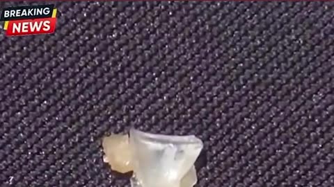 Parents, Be Cautious: 3-Year-Old Finds Glass in Wendy's Burger