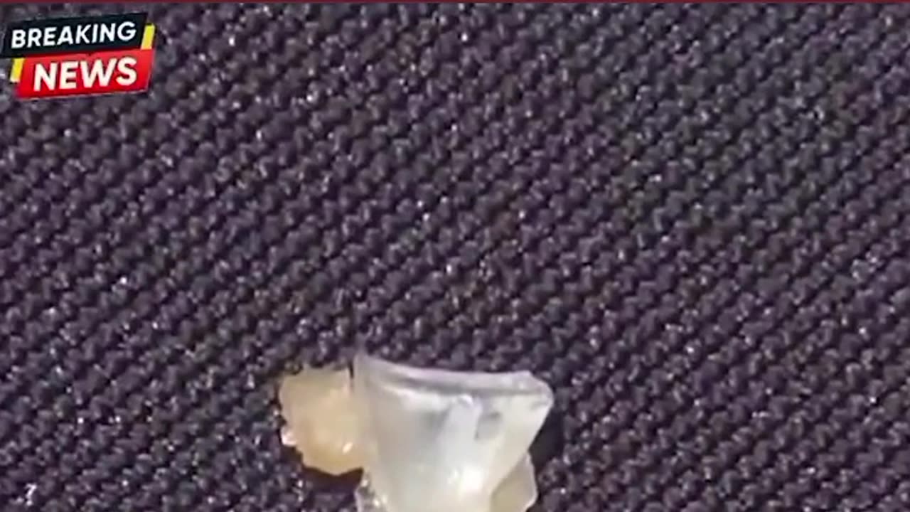 Parents, Be Cautious: 3-Year-Old Finds Glass in Wendy's Burger