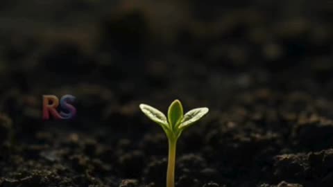 "Grow in Darkness 🌱 | Struggles Make You Stronger |#shorts