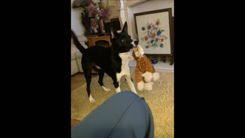 BARNEY HATES MONKEYS !