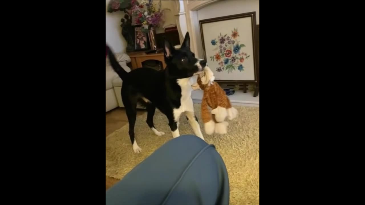 BARNEY HATES MONKEYS !