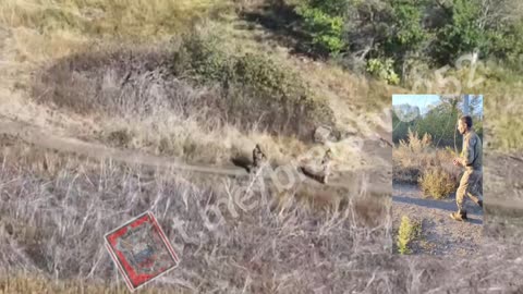 Ukriane war combat footage 10/1/25