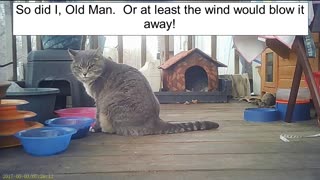 EA 72 - Someone Should Look Into This