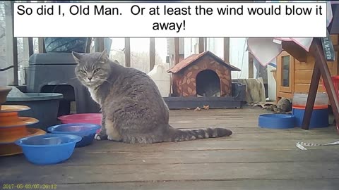 EA 72 - Someone Should Look Into This