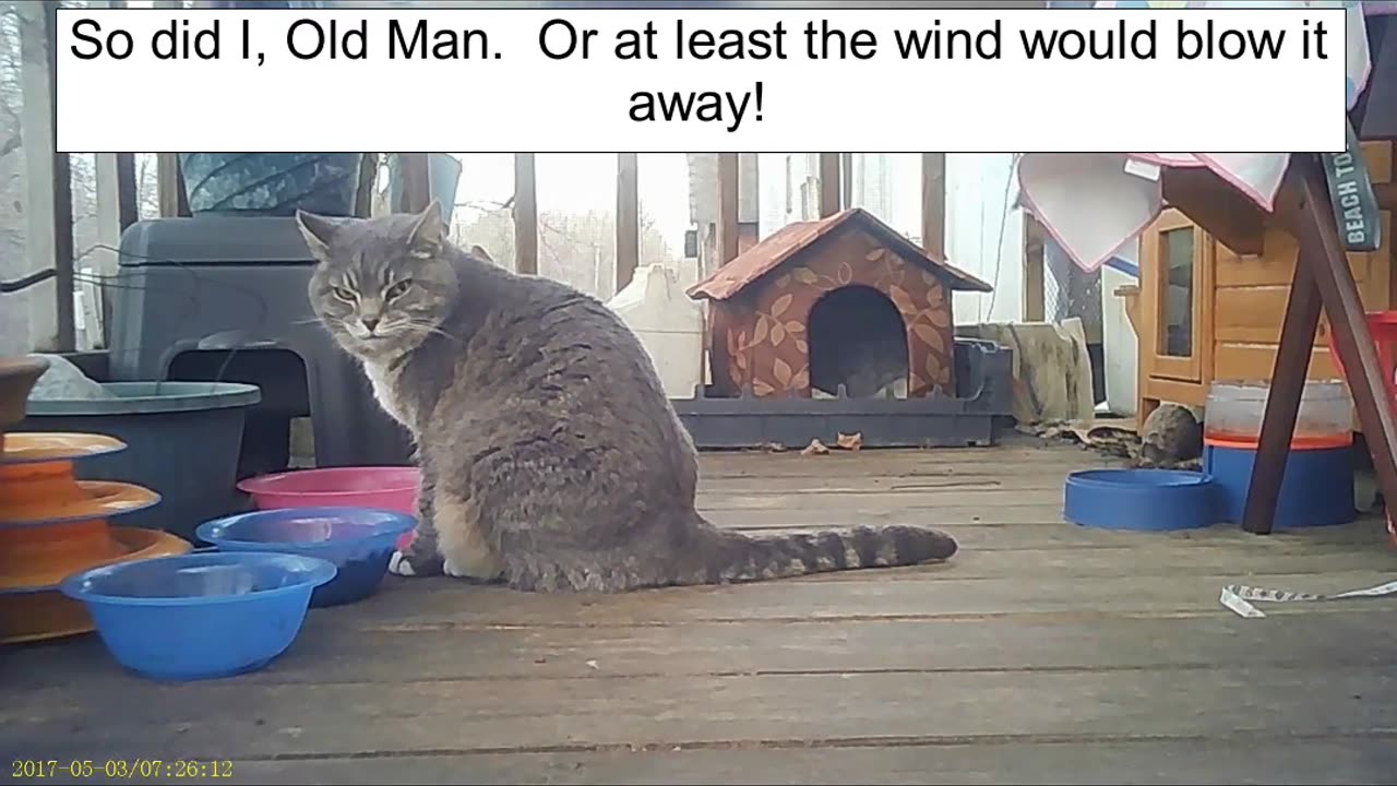 EA 72 - Someone Should Look Into This