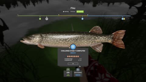 Pike 4.5kg+ | Old Burg Lake | RF4 | New Year Challenge Completed