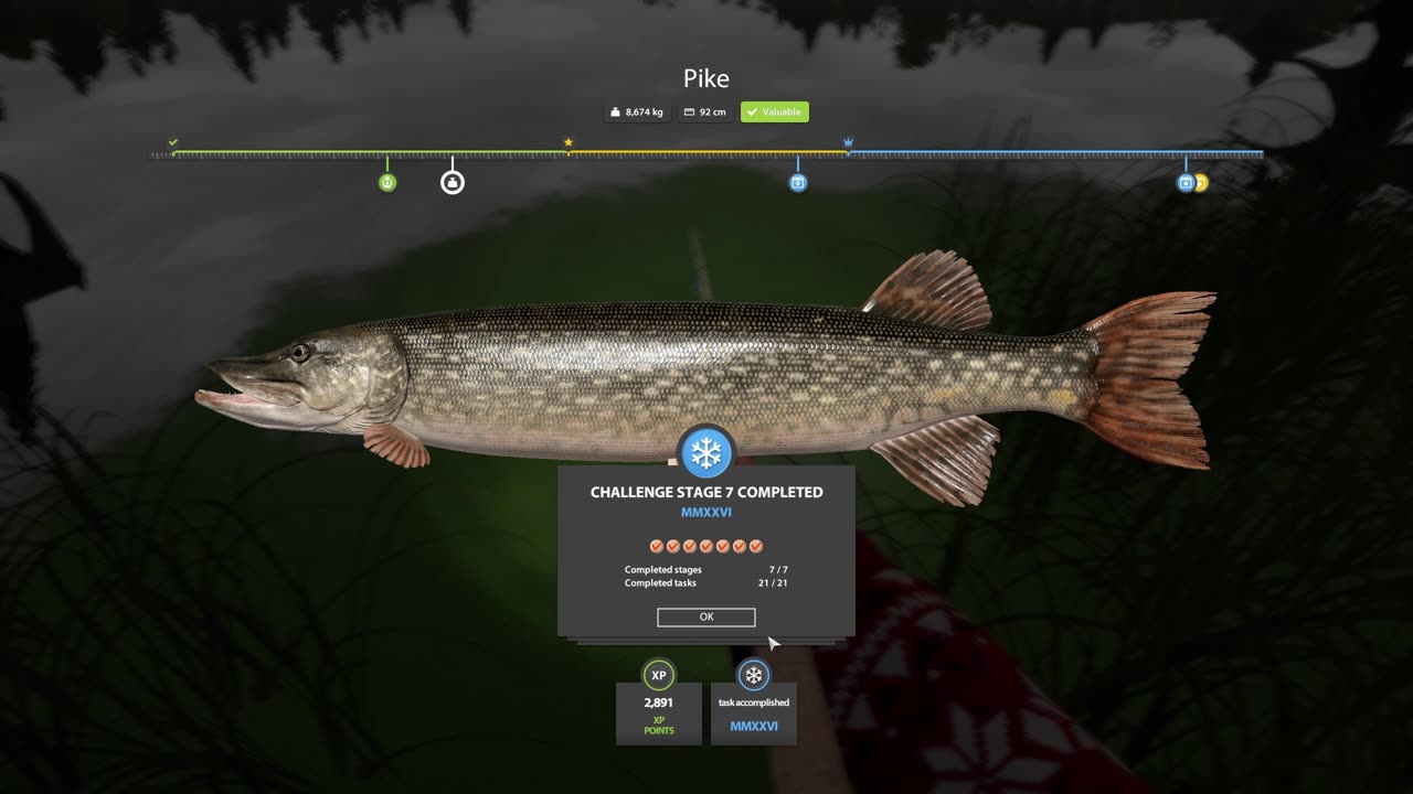 Pike 4.5kg+ | Old Burg Lake | RF4 | New Year Challenge Completed