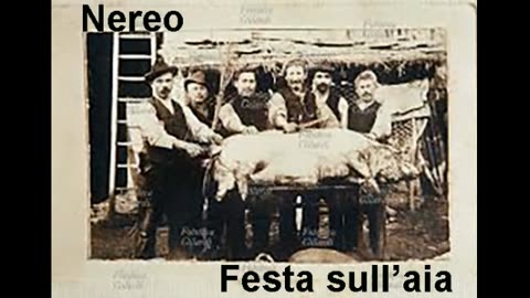 FESTA SULL'AIA