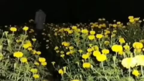 😱👻 The Scariest Ouija Board Session I've Ever Seen! Ouija, Jinn, Aliens, Poltergeist, UFO | TheHaunt