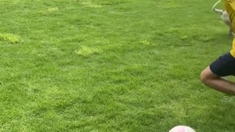 Karma Arrives On Four Paws