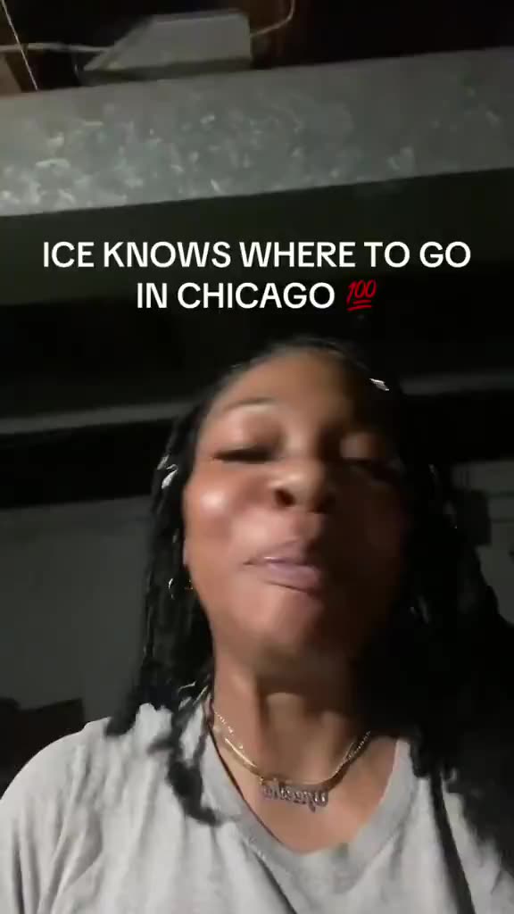Democrats are now challenging ICE to come to the "South Side" of Chicago