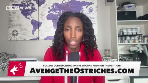 PUBLIC PUSHBACK! Protests on the rise after CFIA’s senseless ostrich slaughter