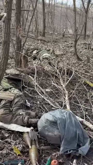 Ukraine war combat/related footage 12/30/25