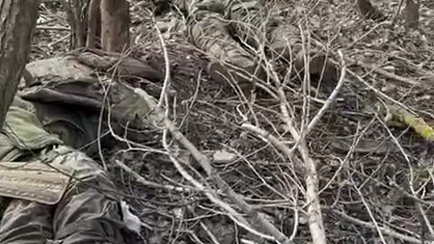 Ukraine war combat/related footage 12/30/25