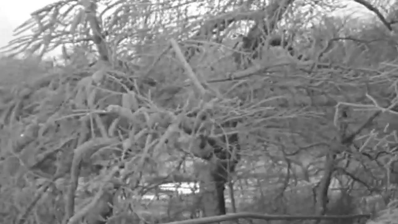 [NORTH WINDS MASONRY] - [NORTH WINDS MASONRY] - fc-fc-4607