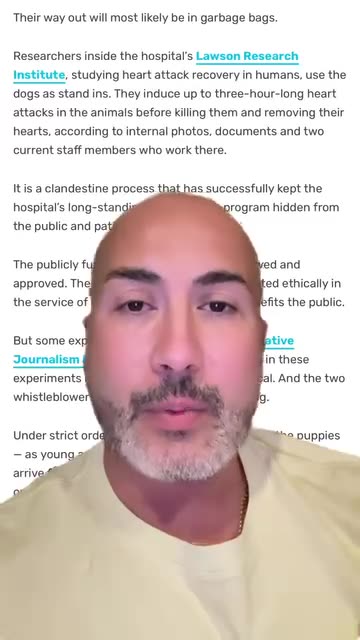 Puppies secretly tested and killed at Ontario hospital for human heart research